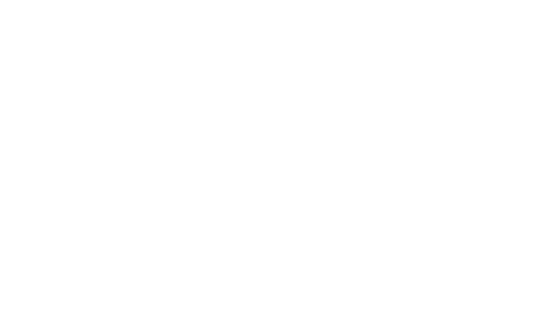 Netokracija